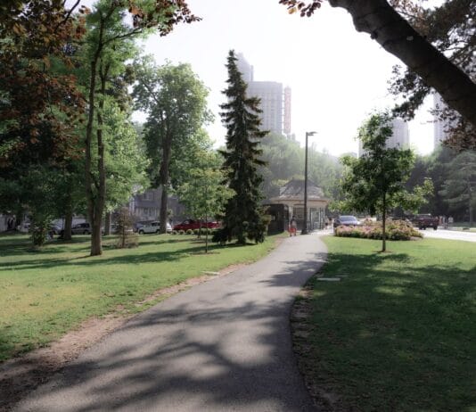 Park Świętojański w Radomsku: spokojny spacer w samym sercu miasta Alejka spacerowa w parku miejskim otoczona drzewami i zabudową miejską