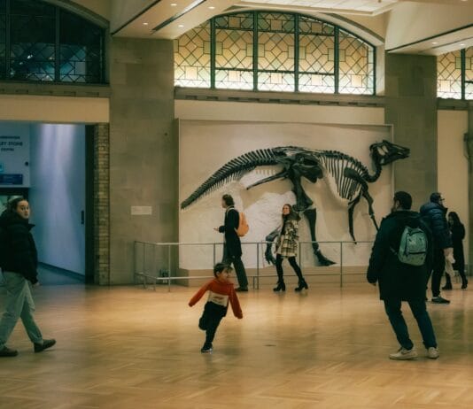 Jakie mniej znane muzea w województwie łódzkim warto odwiedzić, gdy pogoda nie sprzyja spacerom po lesie Zwiedzający oglądają szkielety dinozaurów w muzeum