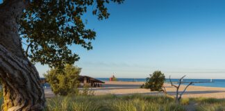 Czerwona latarnia morska przy piaszczystej plaży i zieleni