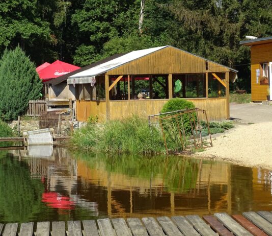 Gdzie zjeść dobrą rybę w Sieradzu i okolicach? Przegląd smażalni oraz menu Chatki Rybackiej